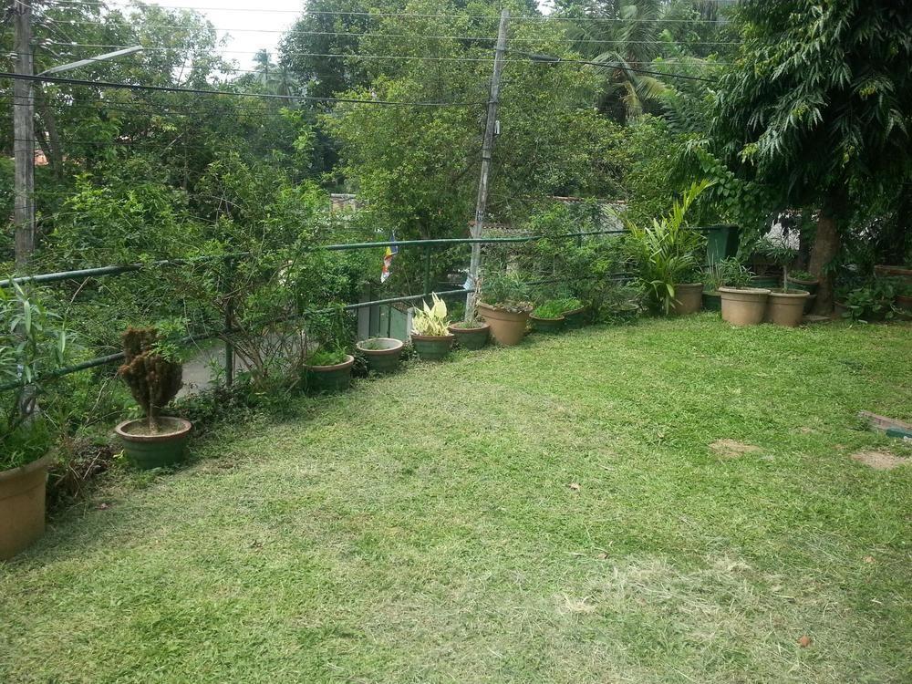Kandy Holiday Home Exteriör bild